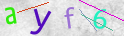 Click to refresh page