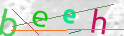 Click to refresh page