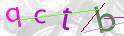 Click to refresh page