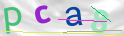 Click to refresh page